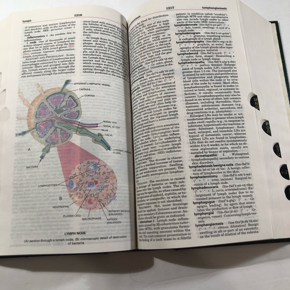 Tabers Cyclopedia Medical Dictionary Hard Cover Book 2,654 pages - Picture 4 of 5